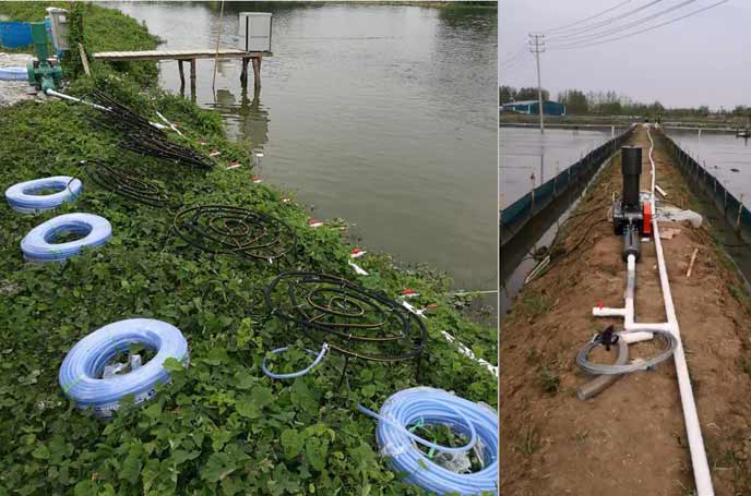 水产养殖罗茨91香蕉视频下载安装