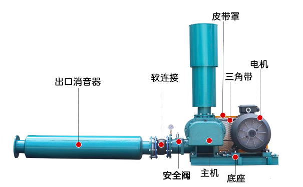 三叶罗茨鼓91香蕉视频下载安装(图3)