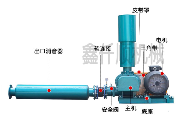 罗茨91香蕉视频下载安装安装图